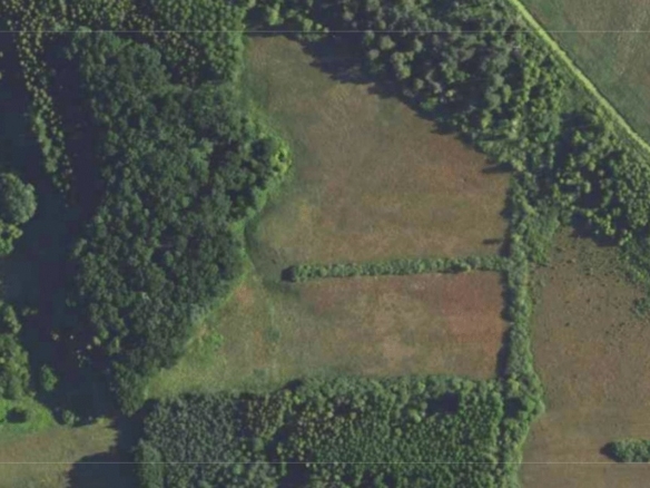 NA SPRZEDAŻ – wyjątkowy grunt 3,6 ha nad rzeką Wieprz | Dąbrowa Tarnawacka 🌿📍 Dąbrowa Tarnawacka, gm. Tomaszów Lubelski