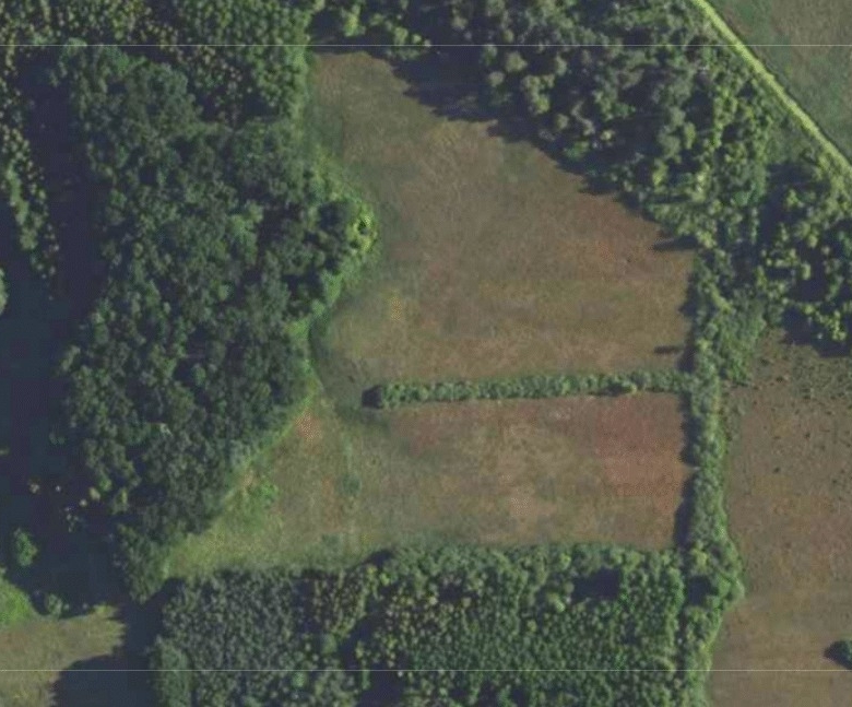 NA SPRZEDAŻ – wyjątkowy grunt 3,6 ha nad rzeką Wieprz | Dąbrowa Tarnawacka 🌿📍 Dąbrowa Tarnawacka, gm. Tomaszów Lubelski