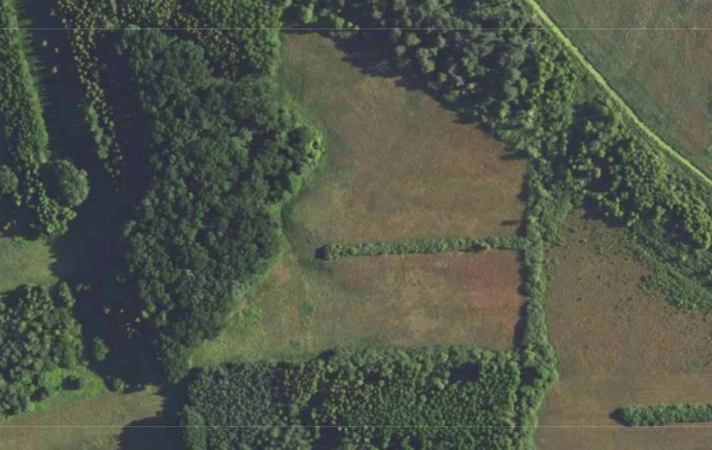 NA SPRZEDAŻ – wyjątkowy grunt 3,6 ha nad rzeką Wieprz | Dąbrowa Tarnawacka 🌿📍 Dąbrowa Tarnawacka, gm. Tomaszów Lubelski