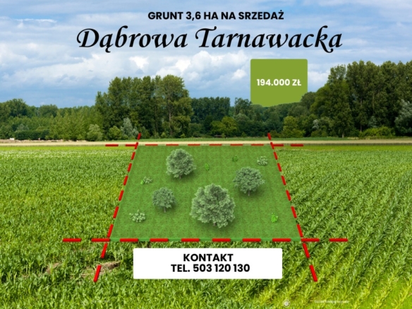 NA SPRZEDAŻ – wyjątkowy grunt 3,6 ha nad rzeką Wieprz | Dąbrowa Tarnawacka 🌿📍 Dąbrowa Tarnawacka, gm. Tomaszów Lubelski