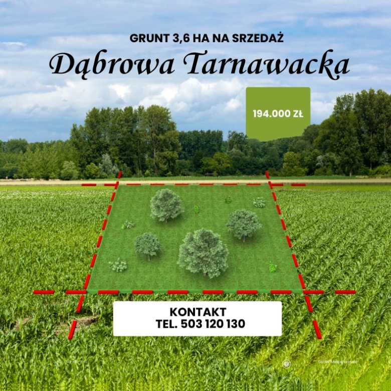 NA SPRZEDAŻ – wyjątkowy grunt 3,6 ha nad rzeką Wieprz | Dąbrowa Tarnawacka 🌿📍 Dąbrowa Tarnawacka, gm. Tomaszów Lubelski