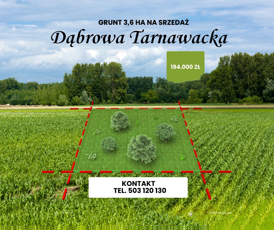NA SPRZEDAŻ – wyjątkowy grunt 3,6 ha nad rzeką Wieprz | Dąbrowa Tarnawacka 🌿📍 Dąbrowa Tarnawacka, gm. Tomaszów Lubelski