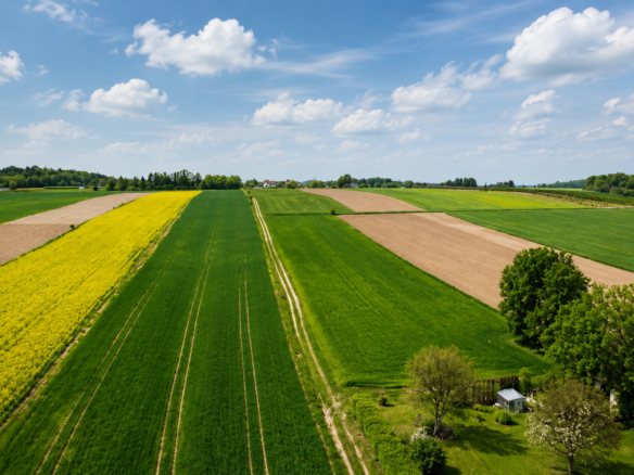 DZIAŁKI BLISKO TOMASZOWA LUBELSKIEGO | WIEPRZÓW TARNAWACKI / WIEPRZÓW ORDYNACKI | POTENCJAŁ INWESTYCYJNY I ROLNY