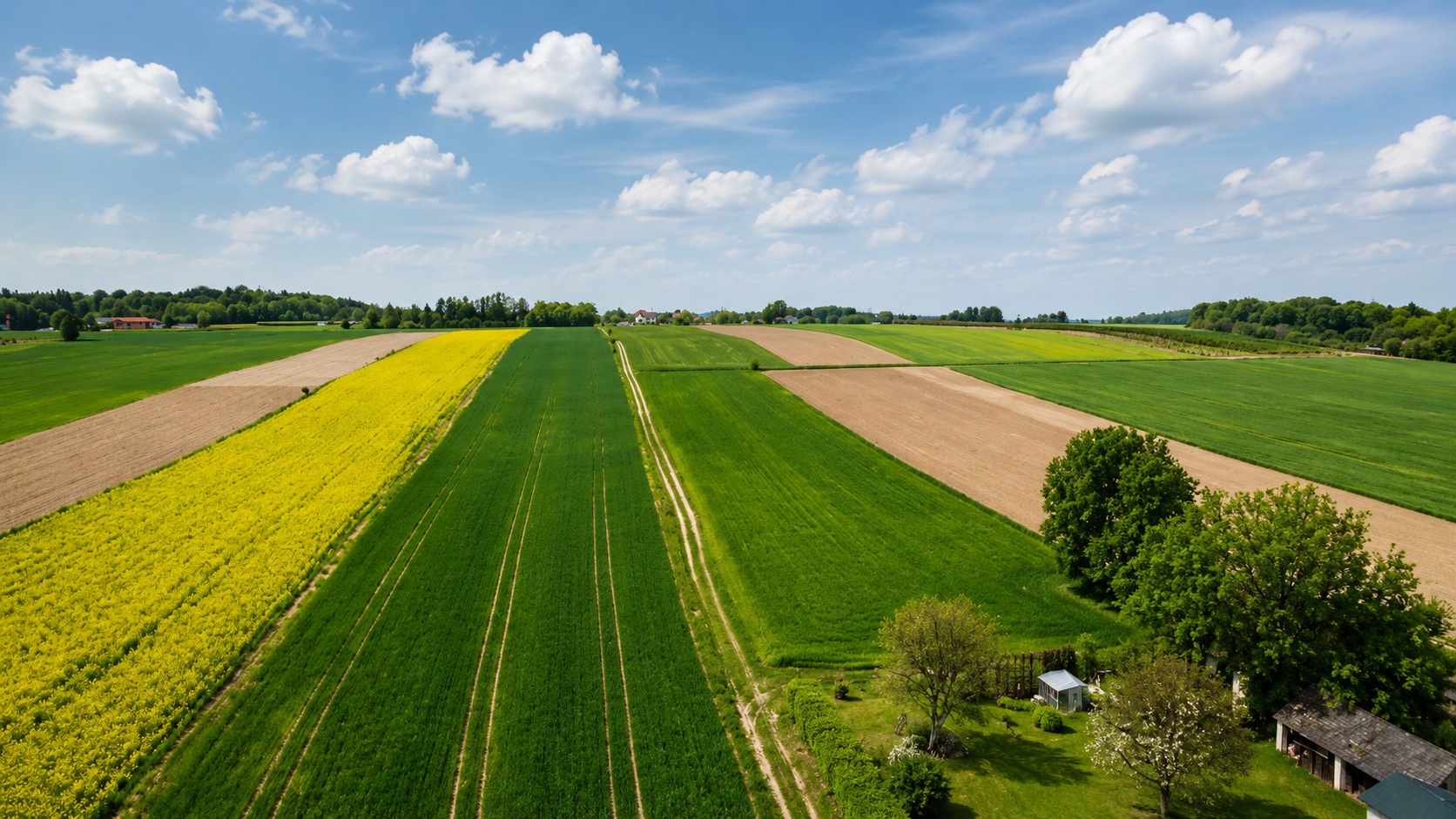 DZIAŁKI BLISKO TOMASZOWA LUBELSKIEGO | WIEPRZÓW TARNAWACKI / WIEPRZÓW ORDYNACKI | POTENCJAŁ INWESTYCYJNY I ROLNY
